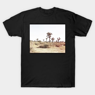 Cacti, Desert, Landscape, Sky, Nature print T-Shirt